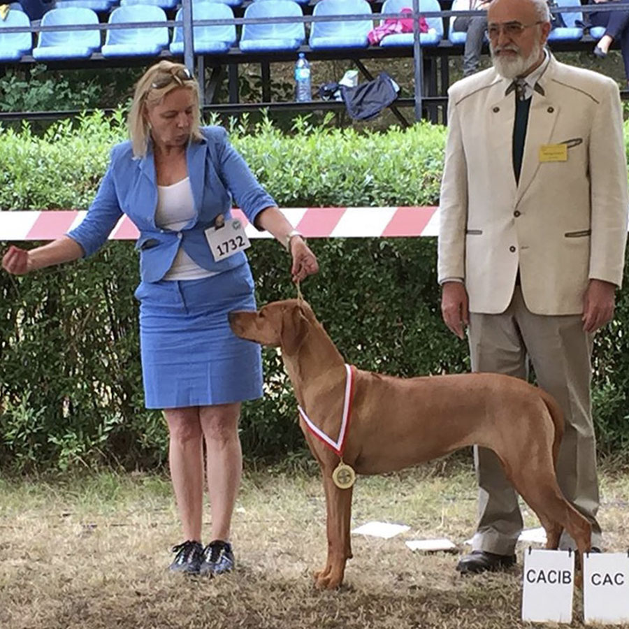 Clara at dog show